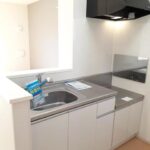 シルバーストン　Ⅱ 画像6