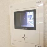 シルバーストン　Ⅱ 画像11