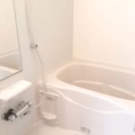 シルバーストン　Ⅱ 画像7