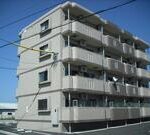 アミリアコート 