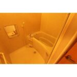 フレグランスＭＭＫ　日向住吉の2DK賃貸アパート 画像13