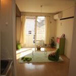 ドミールコバエ　 画像4