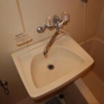 ドミールコバエ　 画像16