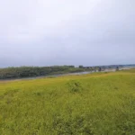 レオパレスこのはなⅡ 101号室 画像22 レオパレスこのはなⅡ 101号室 画像22