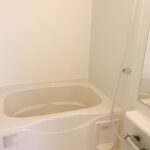 シルバーストン　Ⅱ 画像8