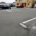 シルバーストン　Ⅱ 画像14