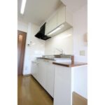 ウエストコーストⅡ　蓮ケ池のワンルーム賃貸マンション 画像12