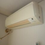 ドミールコバエ　 画像18