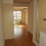 ドミールコバエ　 画像6