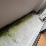 オクトワール宮崎西弐番館２０６号室　 画像15