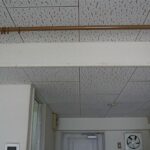 Ｌｕｃｅ（ルーチェ） 画像20