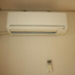 ドミールコバエ　 画像14