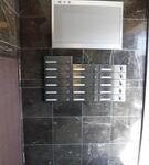 ルオーゴ　 画像20