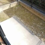 シ－サイド大淀　 画像12