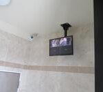 エンデバー　 画像19