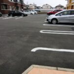 シルバーストン　Ⅱ 画像14