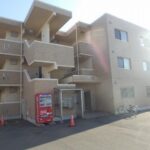 COLLINE 305号室 COLLINE 305号室