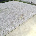 アヴェニ－ルハイツ　101号室　 画像10