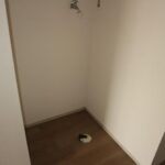 ドミールコバエ　 画像19