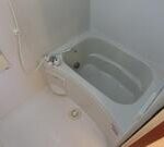 コンフォール大橋　 画像11