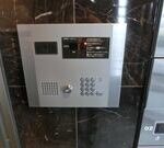 ヴィオッティ 画像19