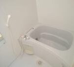 サングリーン藤沢 画像9