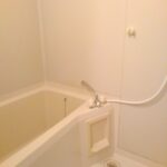 サンライズ大東　Ｂ　 画像8