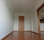 ラヴィドール 画像5